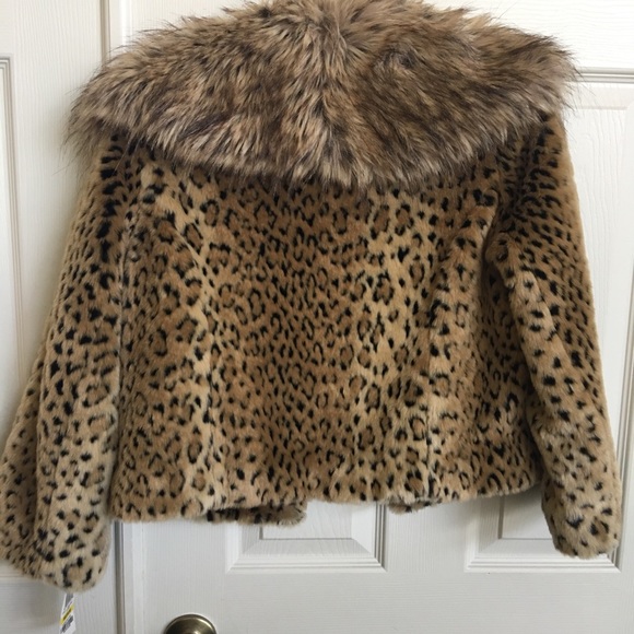 Jacket - Picture 2 of 2